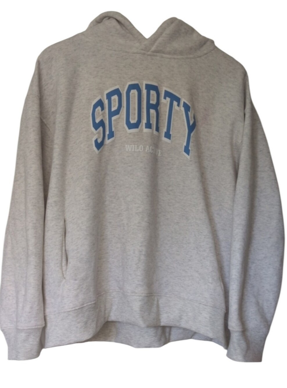Wilo The label Sporty Hoodie Sweatshirt Light Grey Blue Lettering Size Large